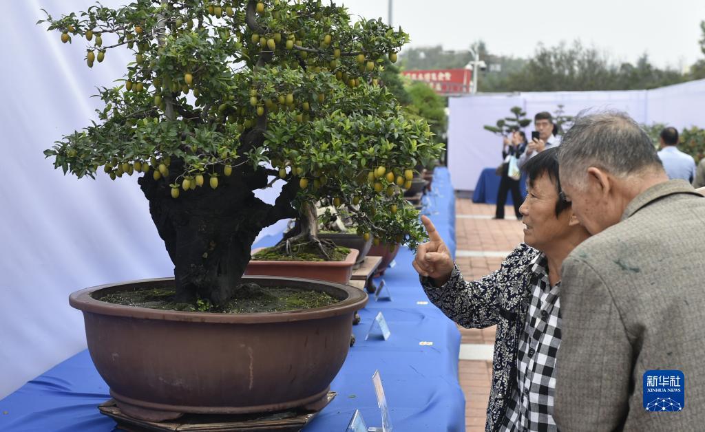 极速百家家乐c5